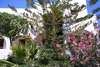 Amaryllis Hotel 